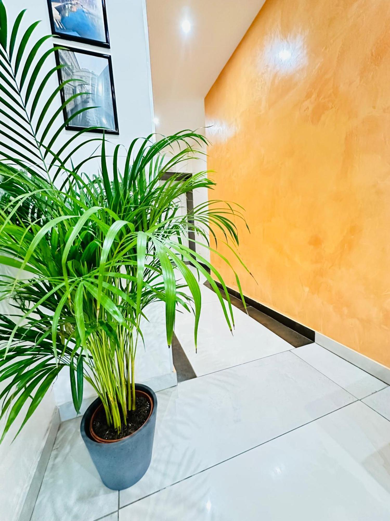 Hotel Dream Hub à Mestre Extérieur photo